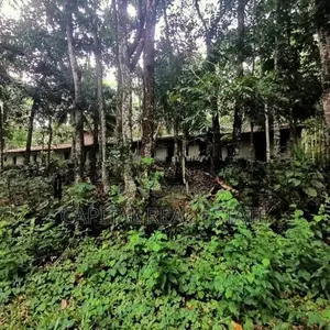 Rubber Land For Sale IN Mathugama Kalutara