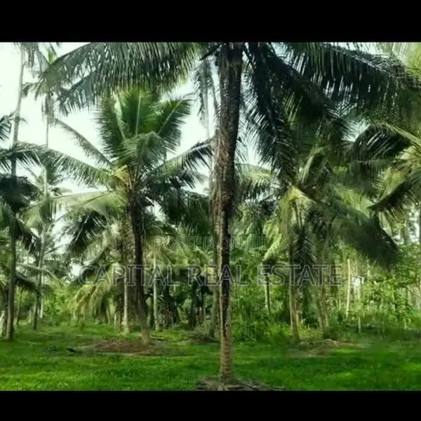 Coconut Land For Sale IN Dodangoda Kalutara