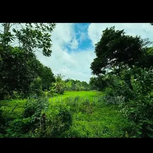 Coconut Land For Sale IN Dodangoda Kalutara
