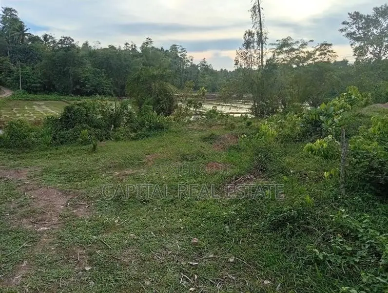 Land for Sale in Gamagoda