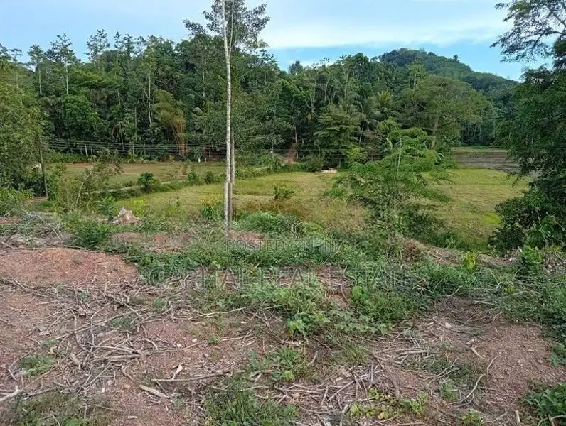 Land for Sale in Gamagoda