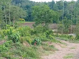 Land for Sale in Gamagoda
