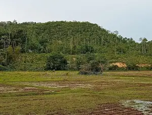 Land for Sale in Gamagoda