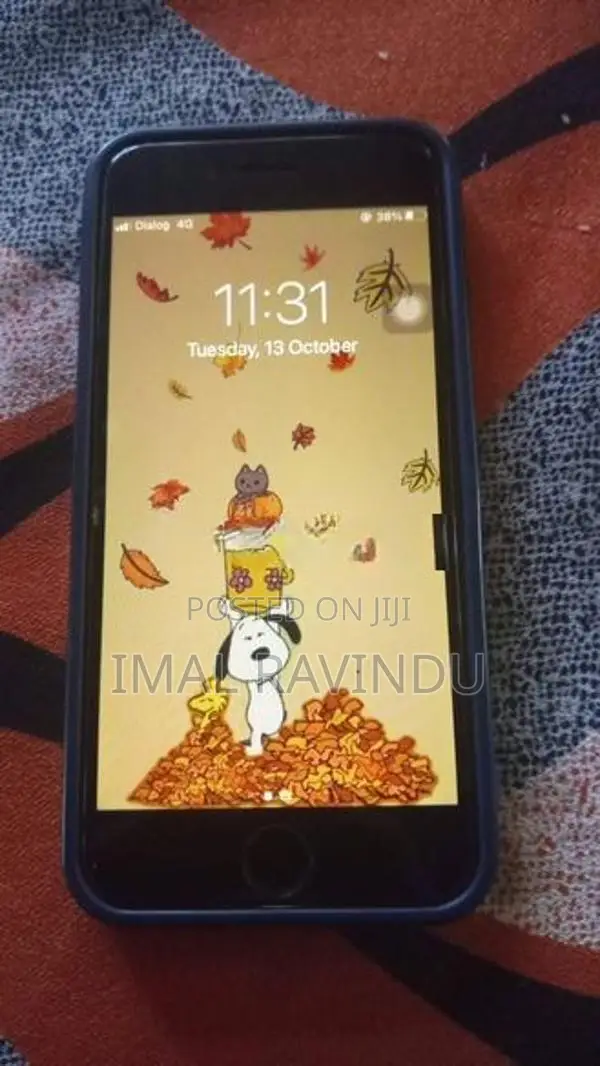 Apple iPhone 7 (Used)