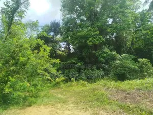Land For Sale IN Thoragalla Kalutara