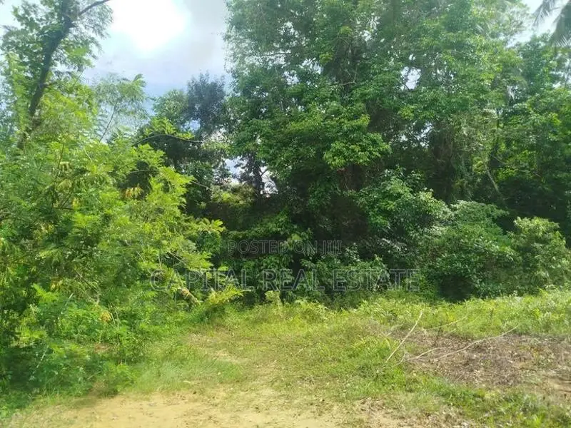 Land For Sale IN Thoragalla Kalutara