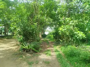 Land For Sale IN Thoragalla Kalutara