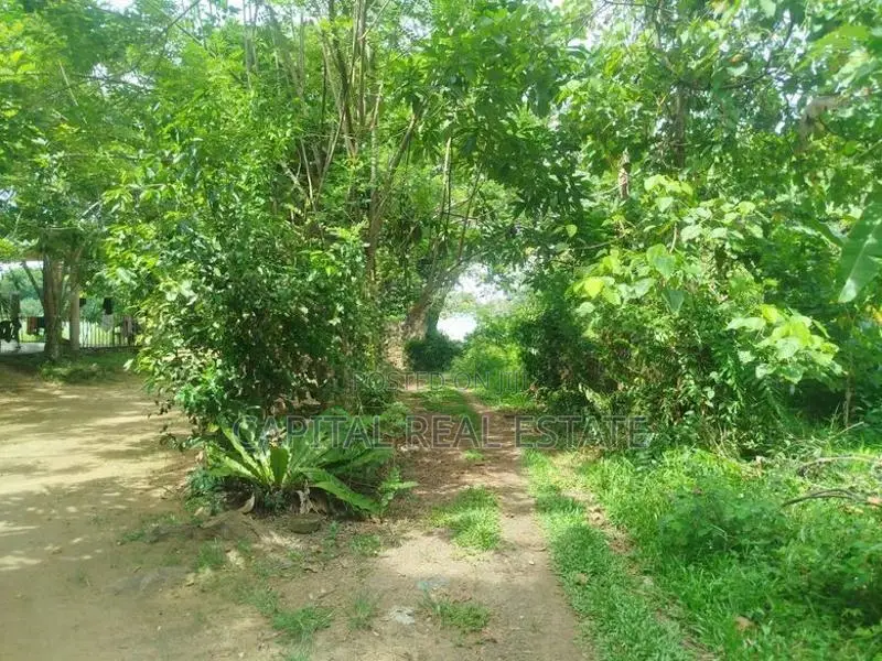 Land For Sale IN Thoragalla Kalutara
