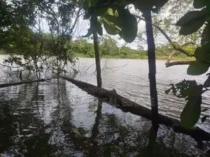 Land For Sale IN Thoragalla Kalutara
