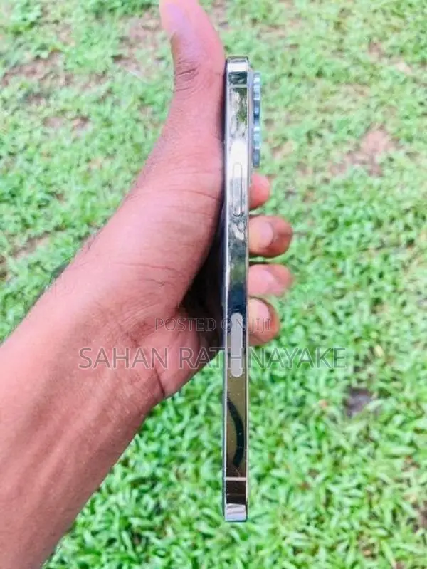 Apple iPhone 13 Pro Max (Used)