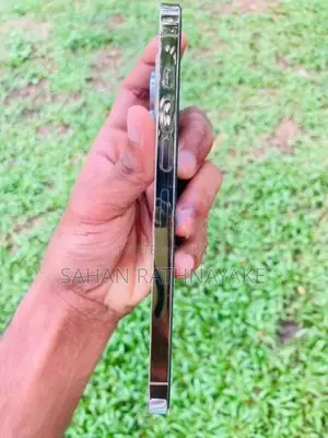 Apple iPhone 13 Pro Max (Used)