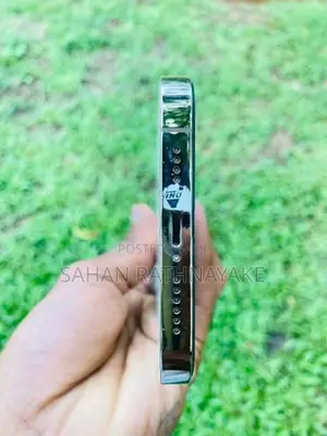 Apple iPhone 13 Pro Max (Used)