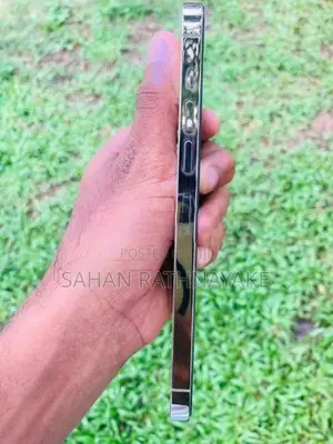 Apple iPhone 13 Pro Max (Used)