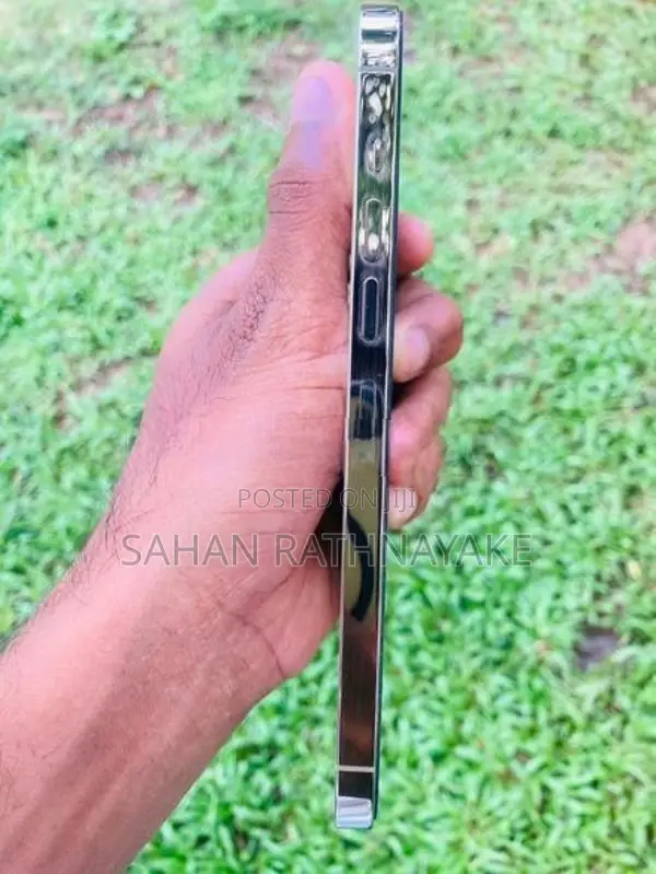 Apple iPhone 13 Pro Max (Used)