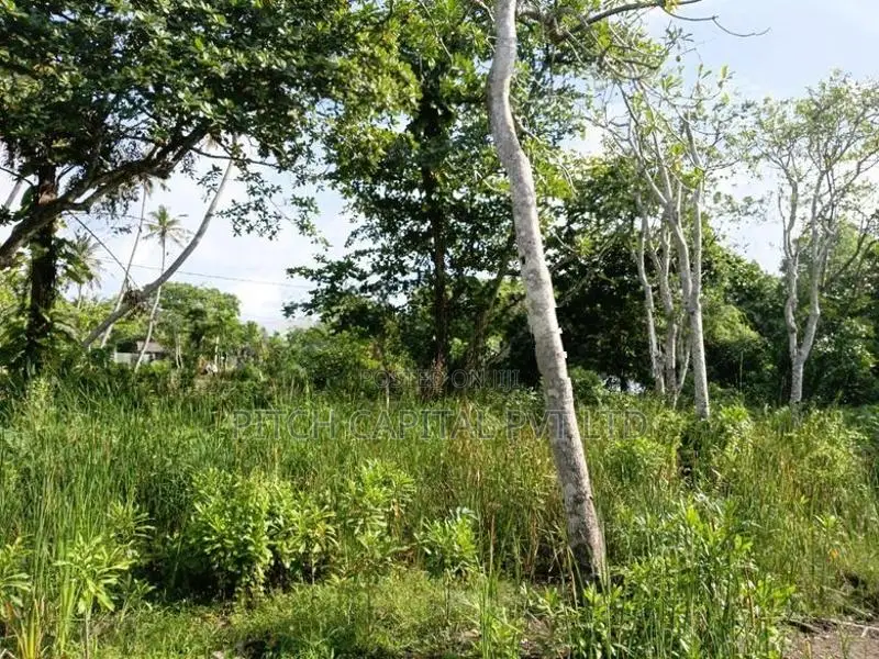 Koggala Lake Facing Land Sale