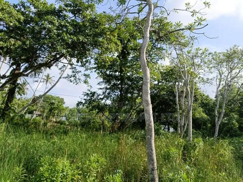 Koggala Lake Facing Land Sale