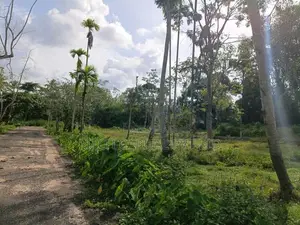 Koggala Lake Facing Land Sale