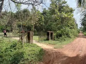 Land For Sale Battuluoya In Chilaw