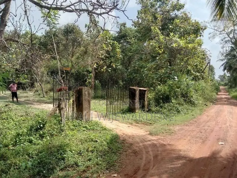 Land For Sale Battuluoya In Chilaw