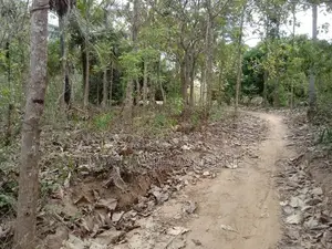 Land For Sale Battuluoya In Chilaw