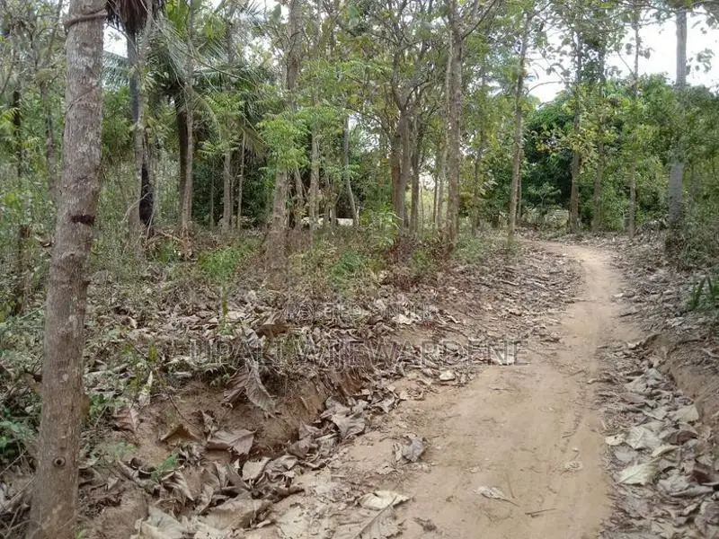 Land For Sale Battuluoya In Chilaw