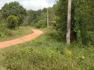 Land For Sale Battuluoya In Chilaw