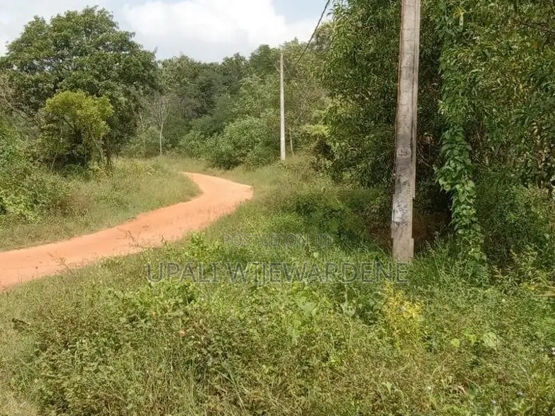 Land For Sale Battuluoya In Chilaw