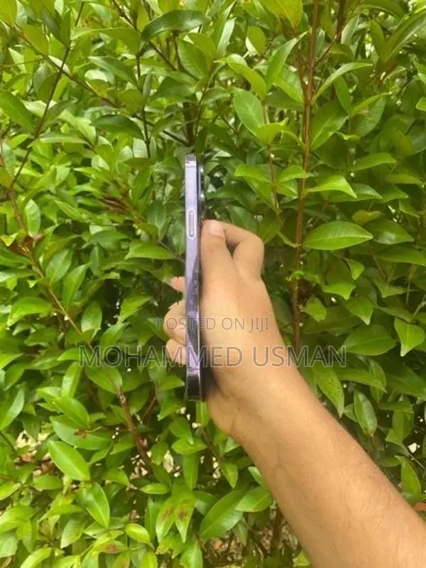 Apple iPhone 14 Pro Max 256GB (Used)