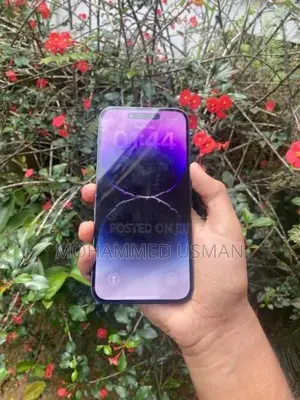 Apple iPhone 14 Pro Max 256GB (Used)