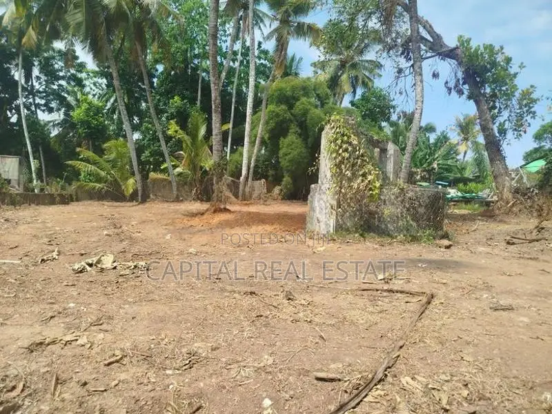 Land For Sale IN Palathota Kalutara