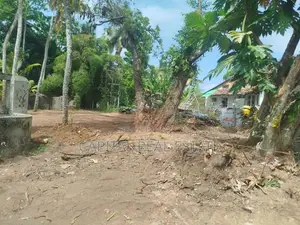 Land For Sale IN Palathota Kalutara