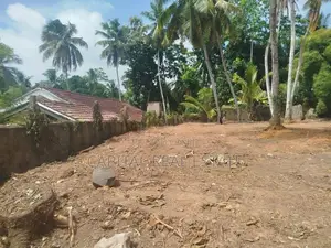 Land For Sale IN Palathota Kalutara