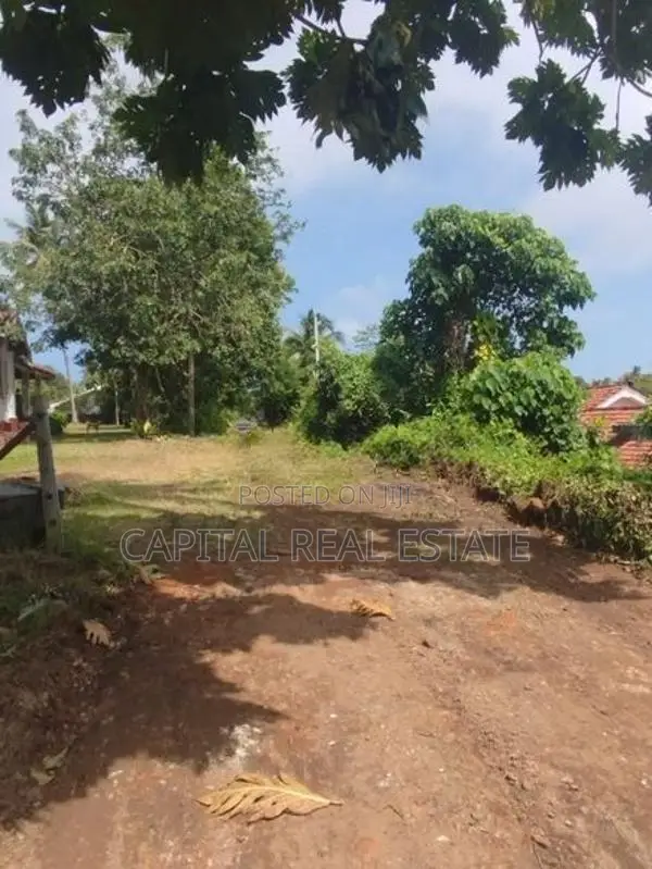 Land For Sale IN Palathota Kalutara