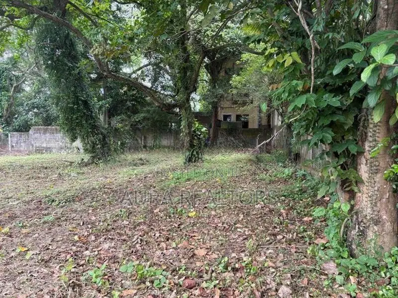 Land For Sale In Rajagiriya (P-72)