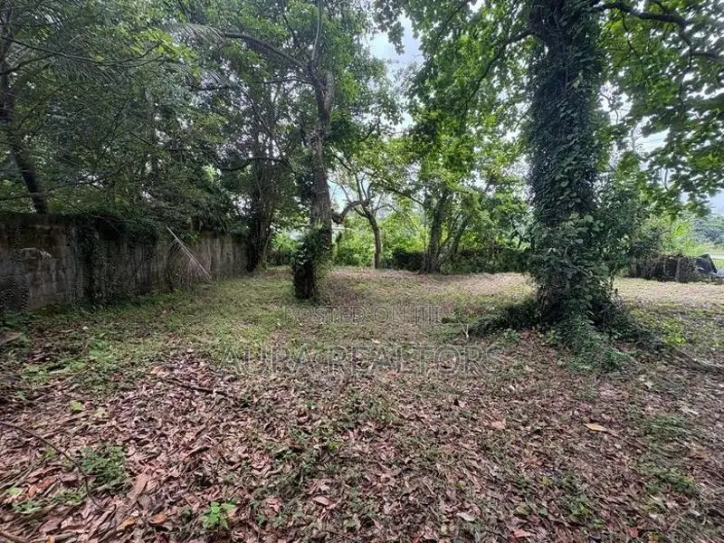 Land For Sale In Rajagiriya (P-72)