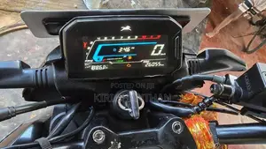 TVS Raider 125 2024