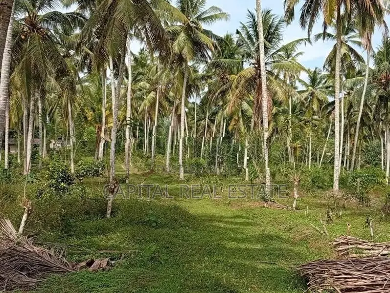 Coconut Land for Sale in Batagoda