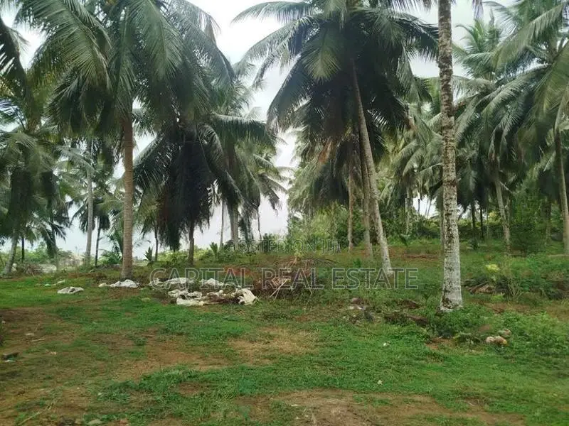 Coconut Land for Sale in Millaniya