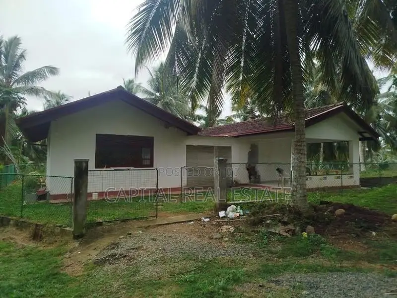 Coconut Land for Sale in Millaniya