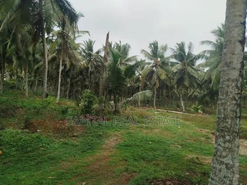 Coconut Land for Sale in Millaniya