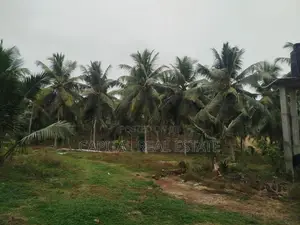 Coconut Land for Sale in Millaniya