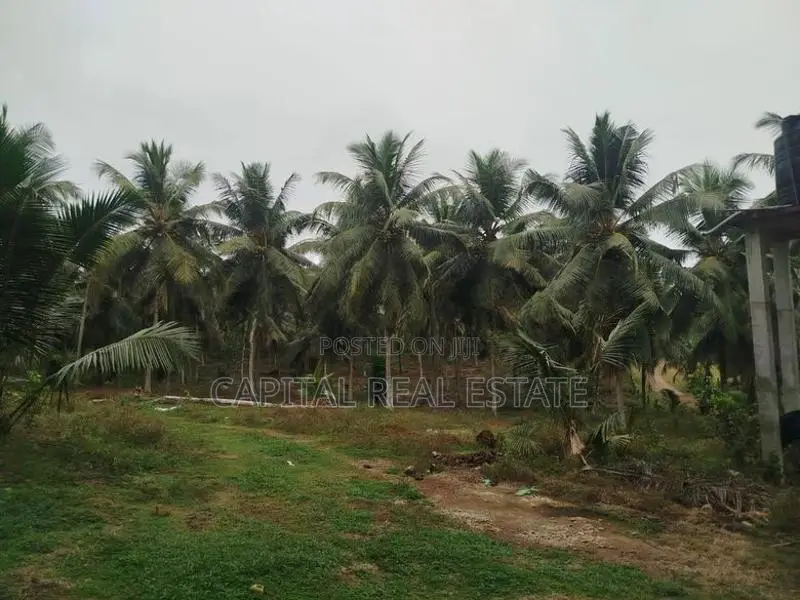 Coconut Land for Sale in Millaniya