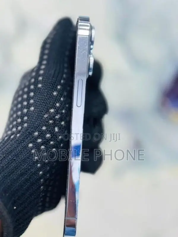 Apple iPhone 13 Pro (Used)