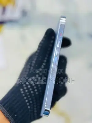 Apple iPhone 13 Pro (Used)