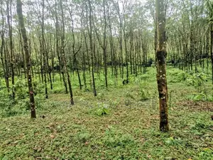 Land For Sale In Horana