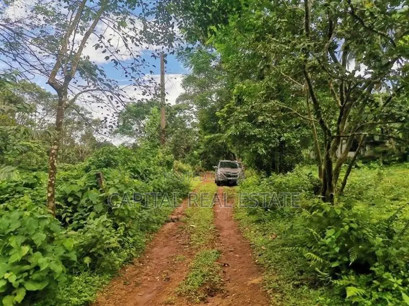 Land For Sale In Horana