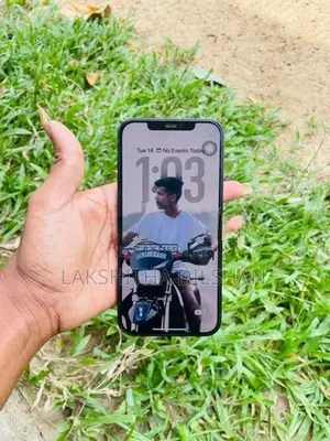 Apple iPhone 12 Pro Max (Used)