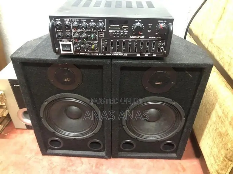 Speaker With Amp