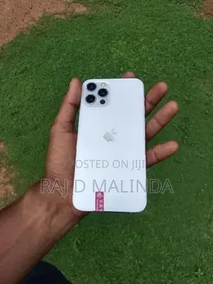 Apple iPhone 12 Pro (Used)