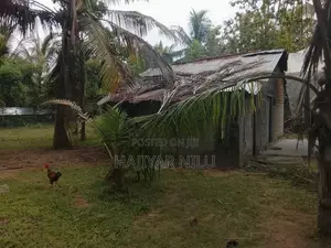 காணி விற்பனைக்கு - Kalmunai